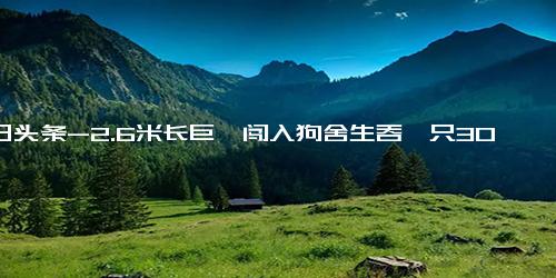 今日头条-2.6米长巨蟒闯入狗舍生吞一只30斤狗 消防提醒 切不能擅自捕捉